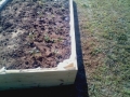 Housing Authority-garden1