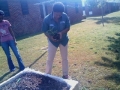 Planting Away2