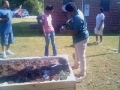 Planting Away3