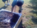 Planting Away4