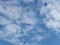 20161019_101347